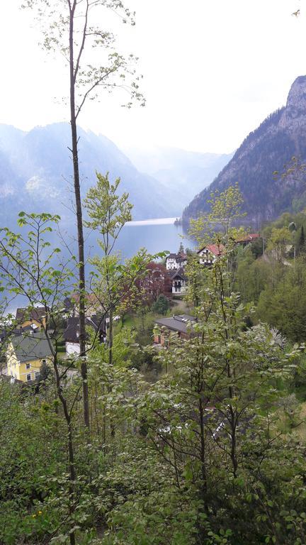 Апартаменты Am Baalstein Траункирхен Экстерьер фото